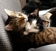 Foto: Louis und Sammy